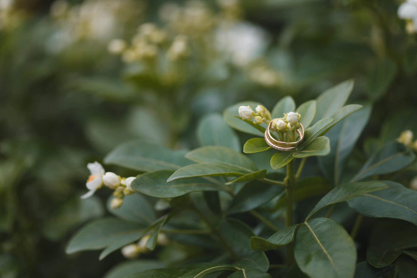 Invités en salle de mariage
